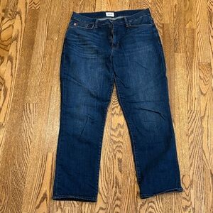 Hudson Jeans Deep Blue Straight Leg